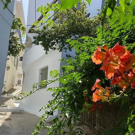 Raphael Living-olga * Szkiáthosz