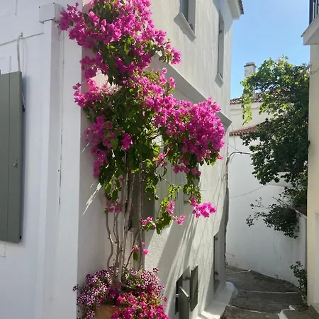 Raphael Living-olga Nyaraló Szkiáthosz