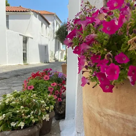 Raphael Living-olga Nyaraló Szkiáthosz