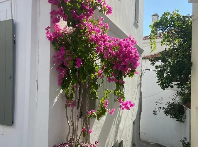 Raphael Living-olga Holiday home Skiathos Town