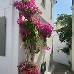 Raphael Living-olga Σπίτι διακοπών Σκιάθος Πόλη