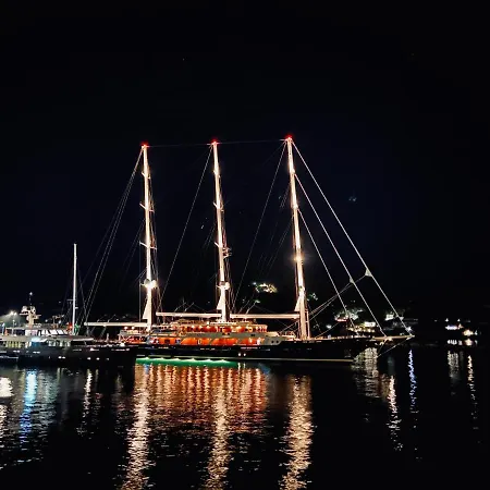 Raphael Living-olga *