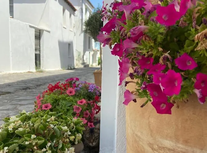 Raphael Living-olga 別荘 スキアトスタウン